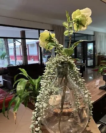 Rey's 3* Montegrotto Terme